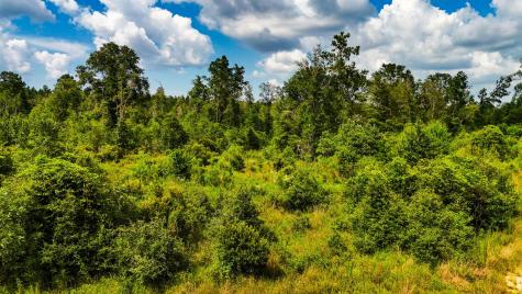 Tbd State Highway 87 Kirbyville TX 75956