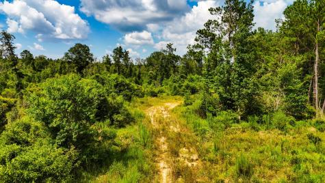 Tbd State Highway 87 Kirbyville TX 75956