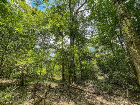 Tbd State Highway 87 Kirbyville TX 75956