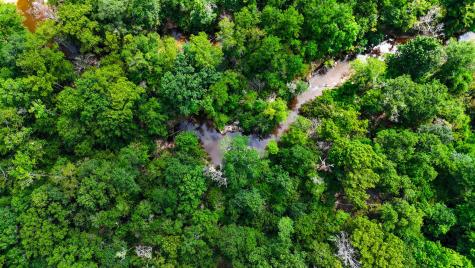 Tbd State Highway 87 Kirbyville TX 75956