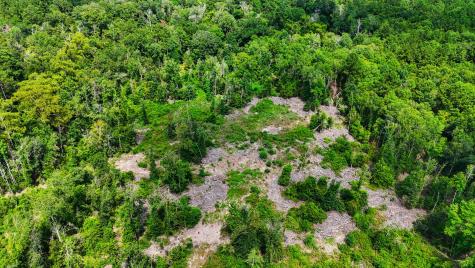 Tbd State Highway 87 Kirbyville TX 75956