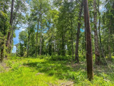 Tbd State Highway 87 Kirbyville TX 75956