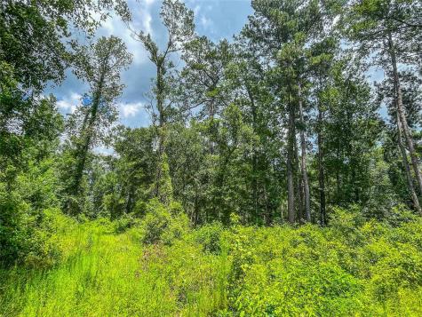 Tbd State Highway 87 Kirbyville TX 75956