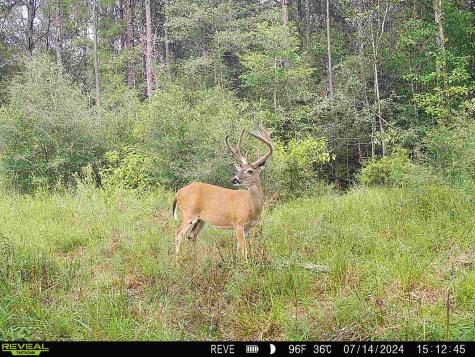 Tbd State Highway 87 Kirbyville TX 75956