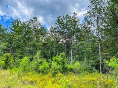 Tbd State Highway 87 Kirbyville TX 75956