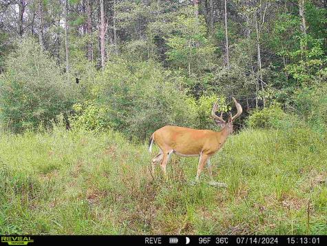 Tbd State Highway 87 Kirbyville TX 75956