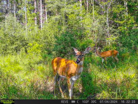 Tbd State Highway 87 Kirbyville TX 75956
