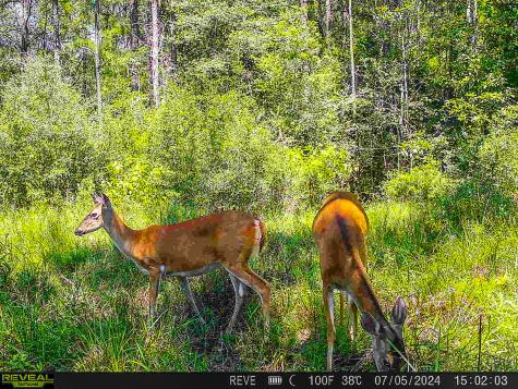 Tbd State Highway 87 Kirbyville TX 75956