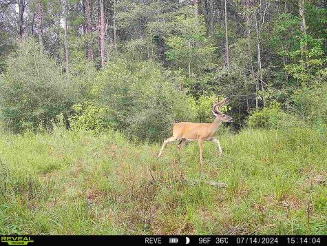 Tbd State Highway 87 Kirbyville TX 75956