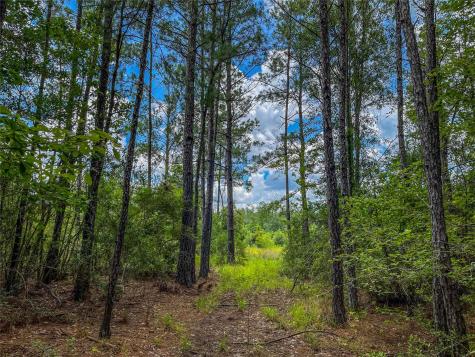 Tbd State Highway 87 Kirbyville TX 75956