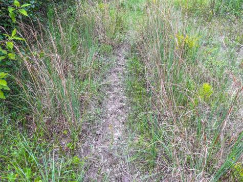 Tbd State Highway 87 Kirbyville TX 75956