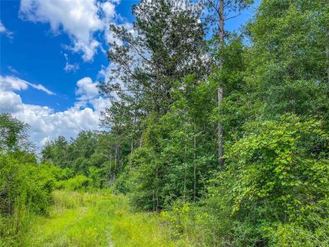 Tbd State Highway 87 Kirbyville TX 75956