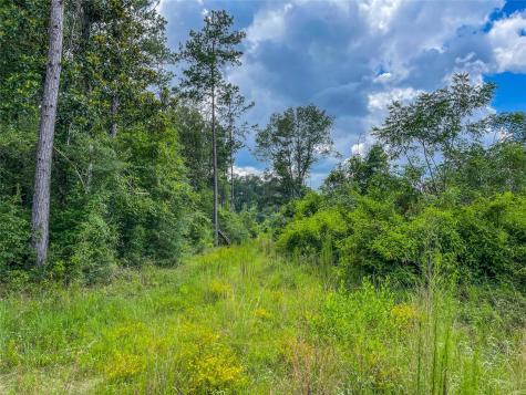 Tbd State Highway 87 Kirbyville TX 75956