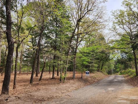 0 County Road 4710 Lot 465 Larue TX 75770
