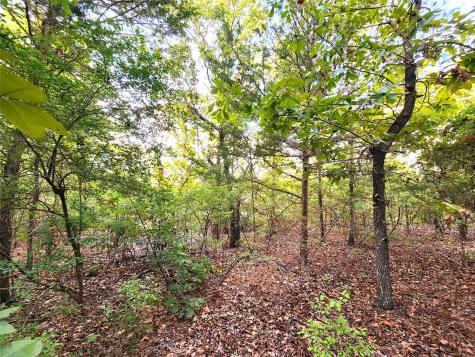 0 County Road 4710 Lot 465 Larue TX 75770