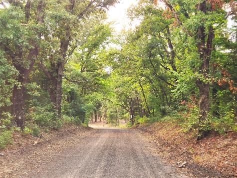 0 County Road 4710 Lot 465 Larue TX 75770