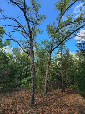 0 County Road 4710 Lot 465 Larue TX 75770