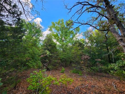 0 County Road 4710 Lot 465 Larue TX 75770