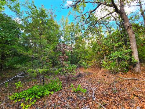 0 County Road 4710 Lot 465 Larue TX 75770