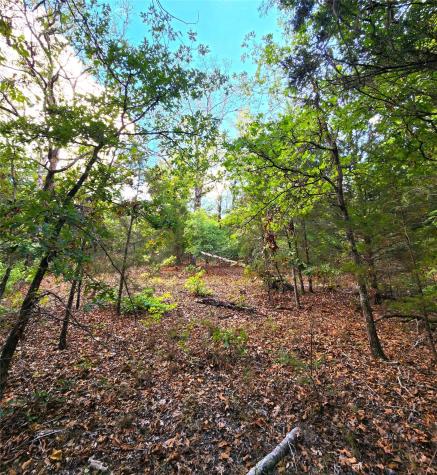 0 County Road 4710 Lot 465 Larue TX 75770