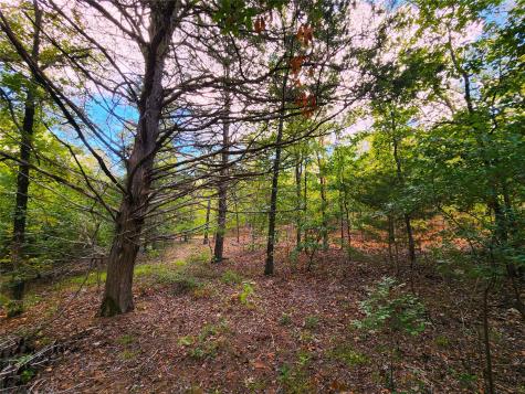 0 County Road 4710 Lot 465 Larue TX 75770