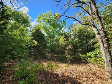 0 County Road 4710 Lot 465 Larue TX 75770