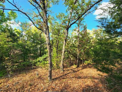 0 County Road 4710 Lot 465 Larue TX 75770