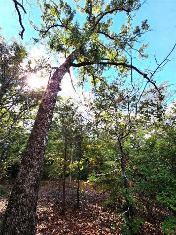 0 County Road 4710 Lot 465 Larue TX 75770