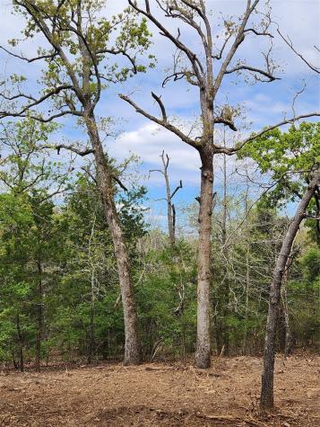 0 County Road 4710 Lot 465 Larue TX 75770