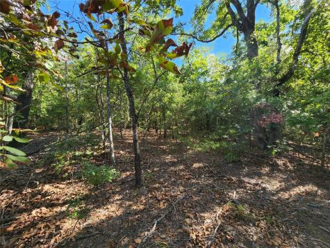 0 County Road 4710 Lot 465 Larue TX 75770