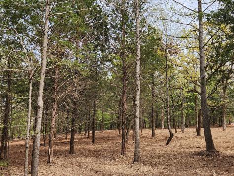 0 County Road 4710 Lot 465 Larue TX 75770