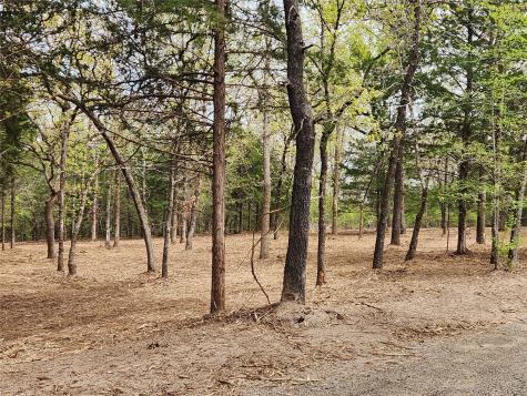 0 County Road 4710 Lot 465 Larue TX 75770