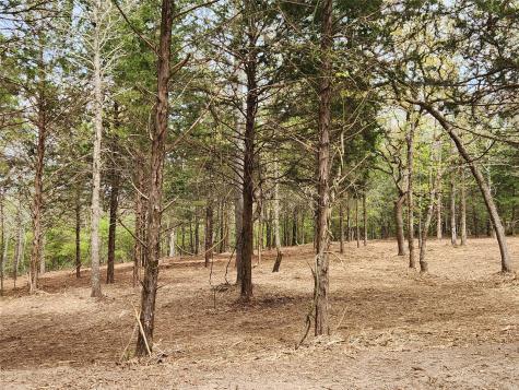 0 County Road 4710 Lot 465 Larue TX 75770