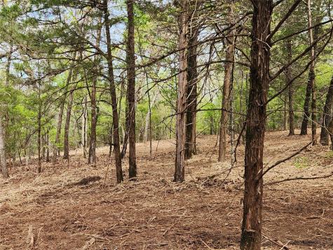 0 County Road 4710 Lot 465 Larue TX 75770