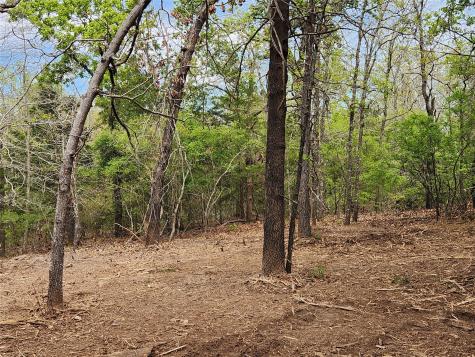0 County Road 4710 Lot 465 Larue TX 75770