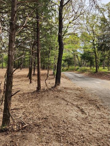 0 County Road 4710 Lot 465 Larue TX 75770