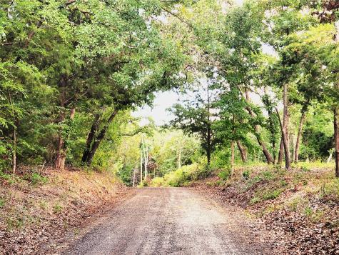 0 County Road 4710 Lot 465 Larue TX 75770