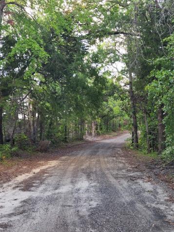 0 County Road 4710 Lot 465 Larue TX 75770