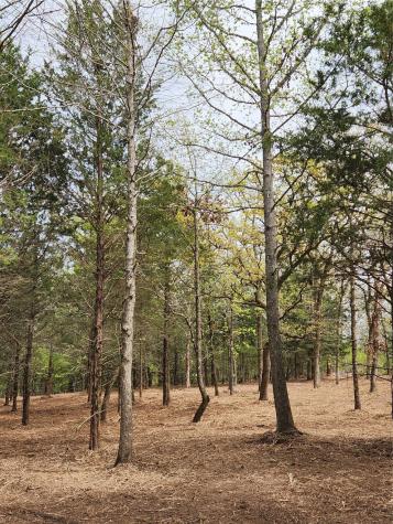 0 County Road 4710 Lot 465 Larue TX 75770