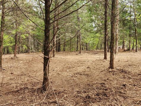 0 County Road 4710 Lot 465 Larue TX 75770