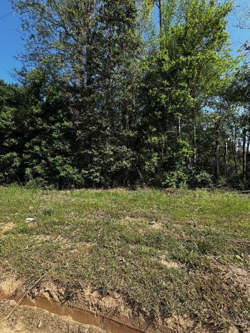 Tbd Lannie Boulevard Livingston TX 77351