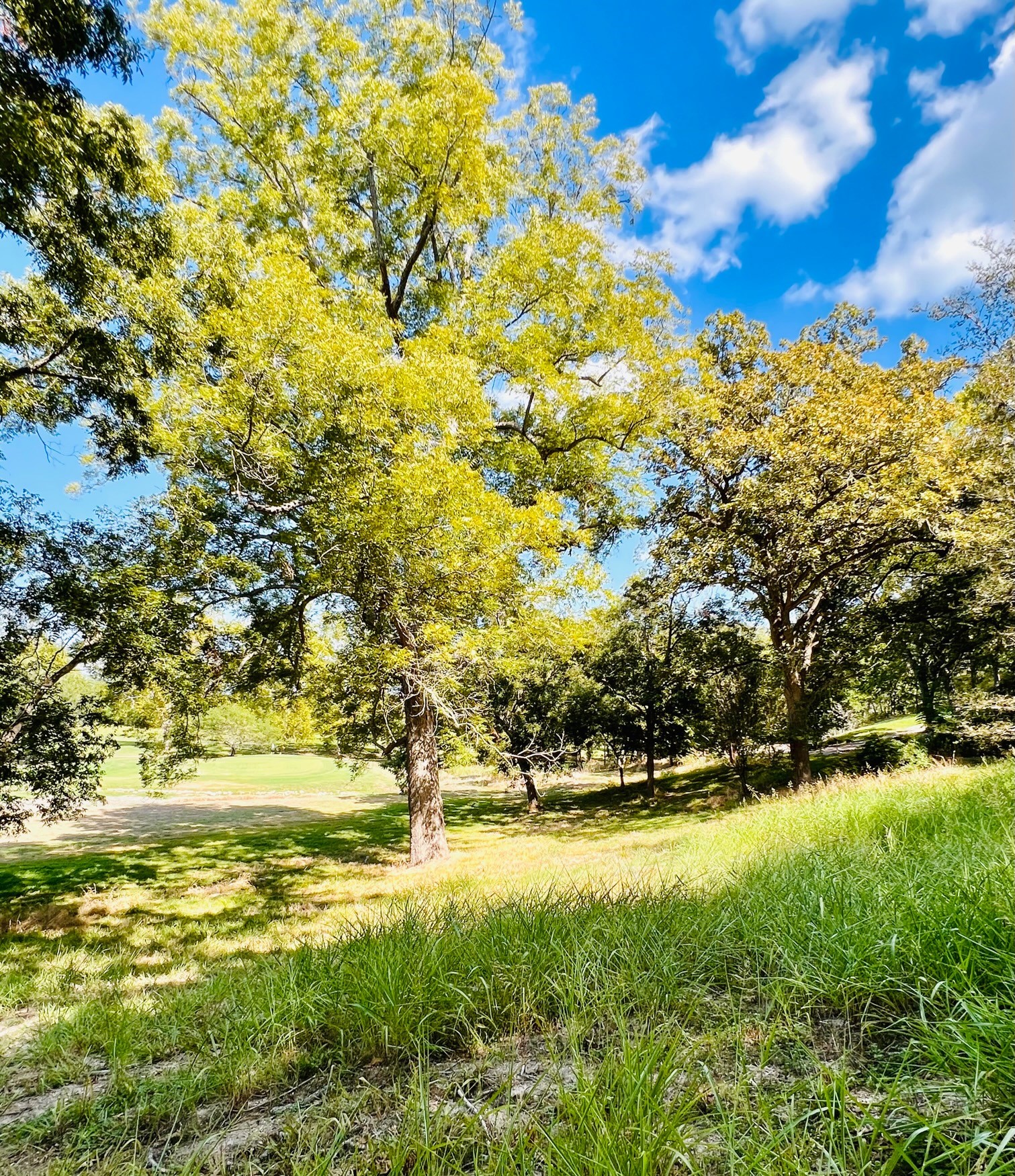 Tbd Country Club Court La Grange TX 78945