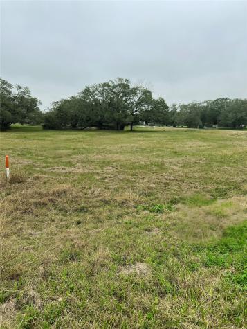 103 Vintage Oaks Court Angleton TX 77515
