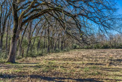 9044 Fm 1428 Midway TX 75852