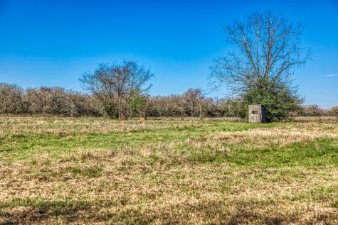 9044 Fm 1428 Midway TX 75852