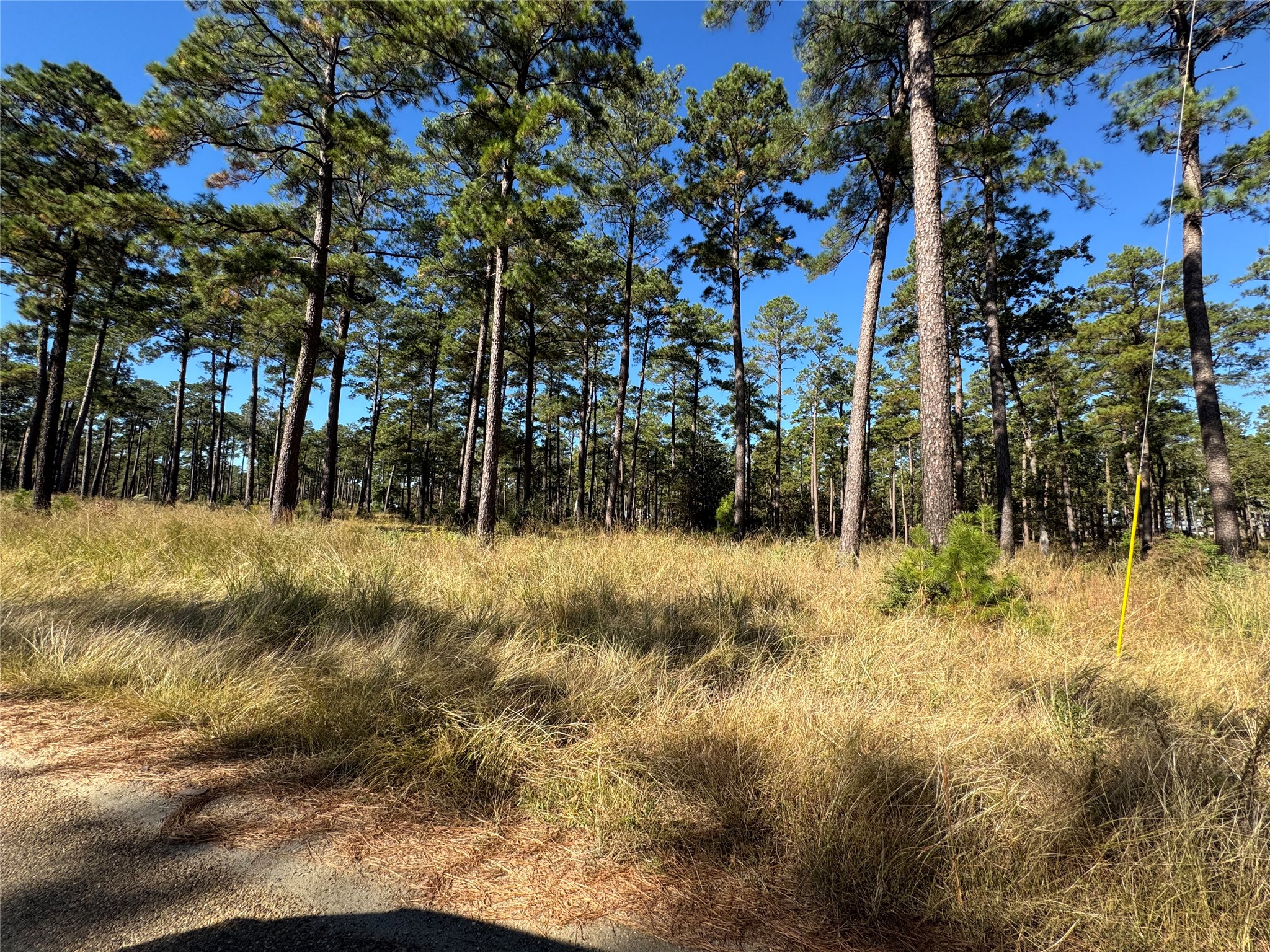 063 Private Road 6026 Brookeland TX 75931