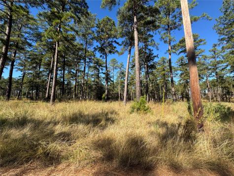 063 Private Road 6026 Brookeland TX 75931