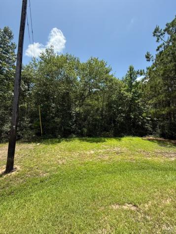 17655 Julianne Drive Waller TX 77484