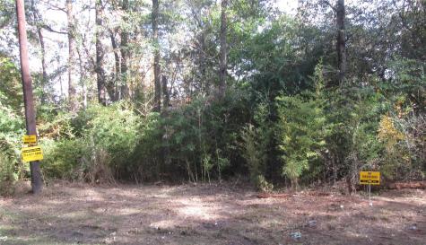 0 Riverside Drive New Caney TX 77357