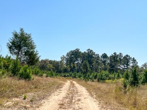 1 Off County Road 2925 Grapeland TX 75844